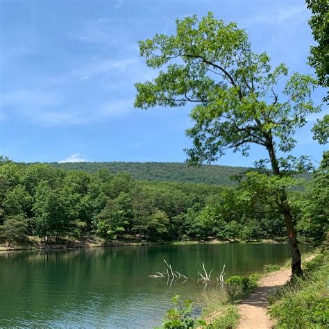 Rocky gap park - Rocky Gap State Park. . . . Rocky Gap State Park. Park Reservations 1-888-432-2267. Administrative Offices 12500 Pleasant Valley Road Flintstone, MD 21530 Monday-Friday 8 a.m.-4 p.m. 301-722-1480 E-mail Rocky Gap State Park Campground Registration Hours of operation vary seasonally 17600 Campers Hill …